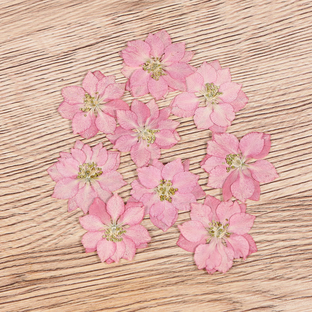Phone Accessories Ideas - 20Pcs Natural Dried Flowers Plant Specimen