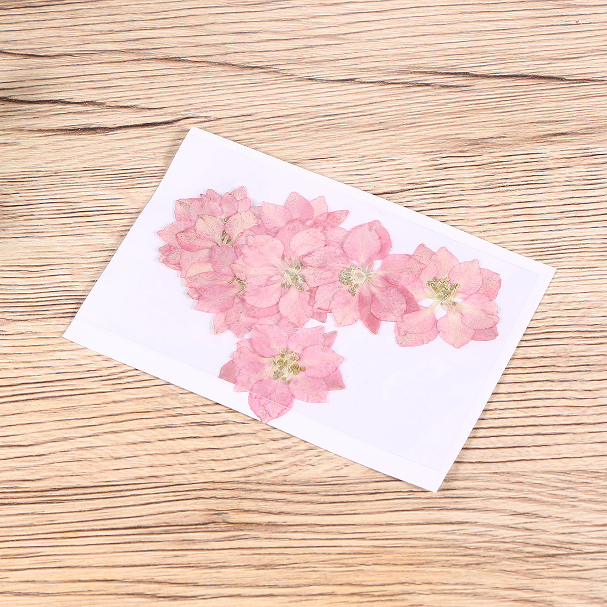 20Pcs Natural Dried Flowers Pl - огляд і ціна Phone Accessories Ideas